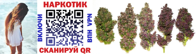 Где продают наркотики Павлово Героин ГАШ Марихуана Кокаин Alpha-PVP