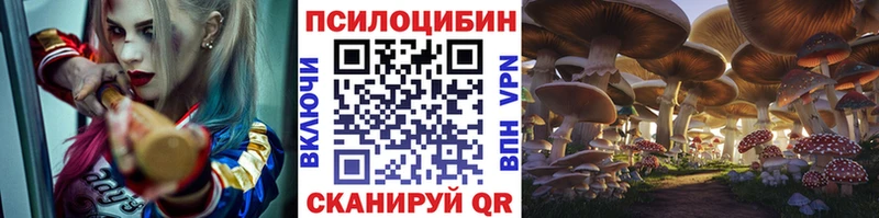 Псилоцибиновые грибы Cubensis купить наркотик Павлово